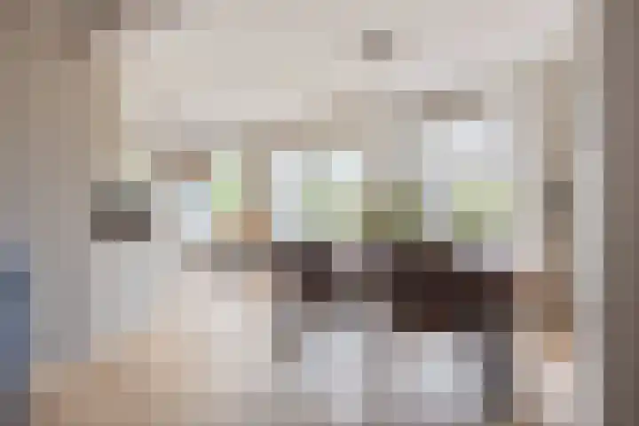 Langeweg 1 Grootegast thumbnail 33