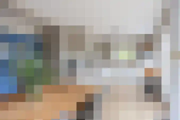 Langeweg 1 Grootegast thumbnail 34