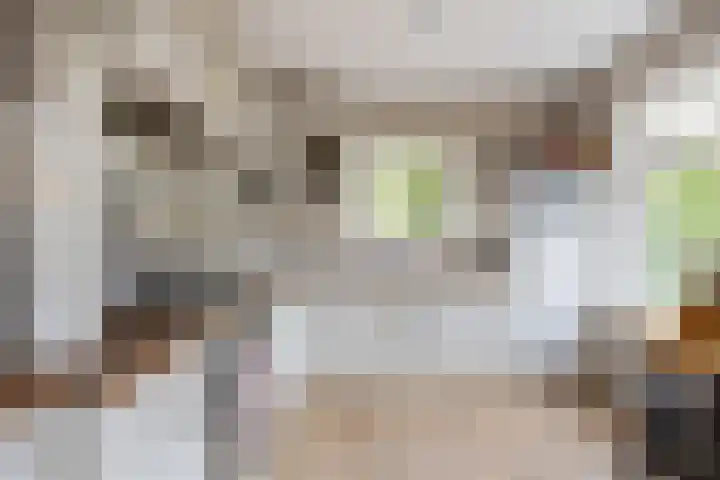 Langeweg 1 Grootegast thumbnail 37