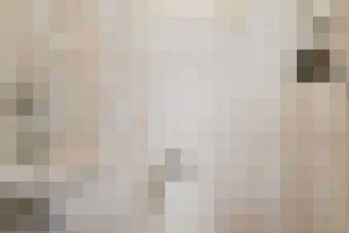 Langeweg 1 Grootegast thumbnail 44
