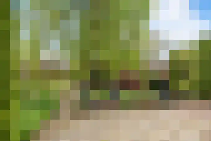 Langeweg 1 Grootegast thumbnail 64