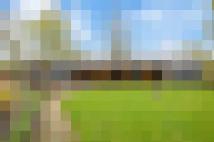 Langeweg 1 Grootegast thumbnail 66