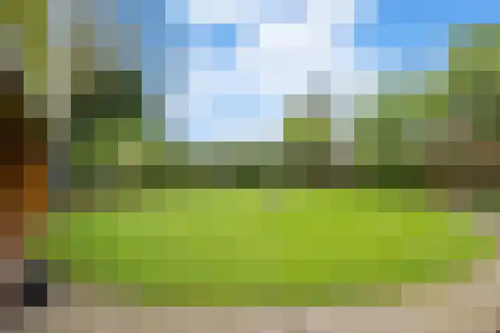 Langeweg 1 Grootegast thumbnail 76
