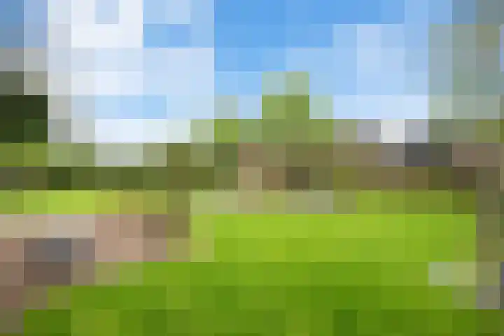 Langeweg 1 Grootegast thumbnail 77