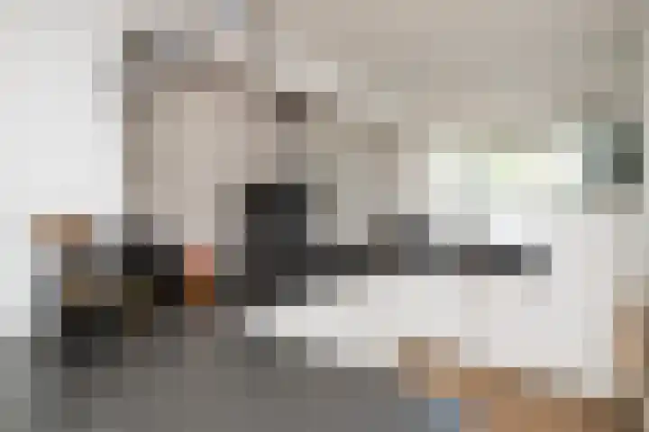 Langeweg 1 Grootegast thumbnail 81