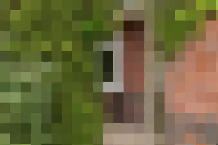 Langeweg 1 Grootegast thumbnail 83