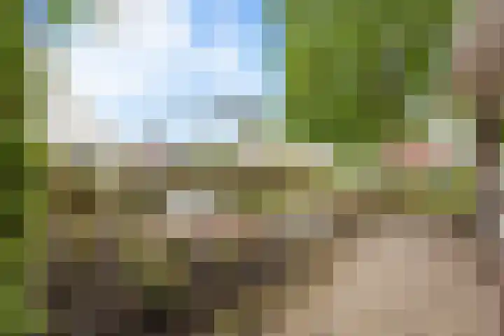 Langeweg 1 Grootegast thumbnail 84