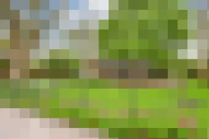 Langeweg 1 Grootegast thumbnail 9