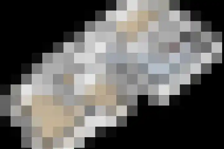 Langeweg 1 Grootegast thumbnail 96