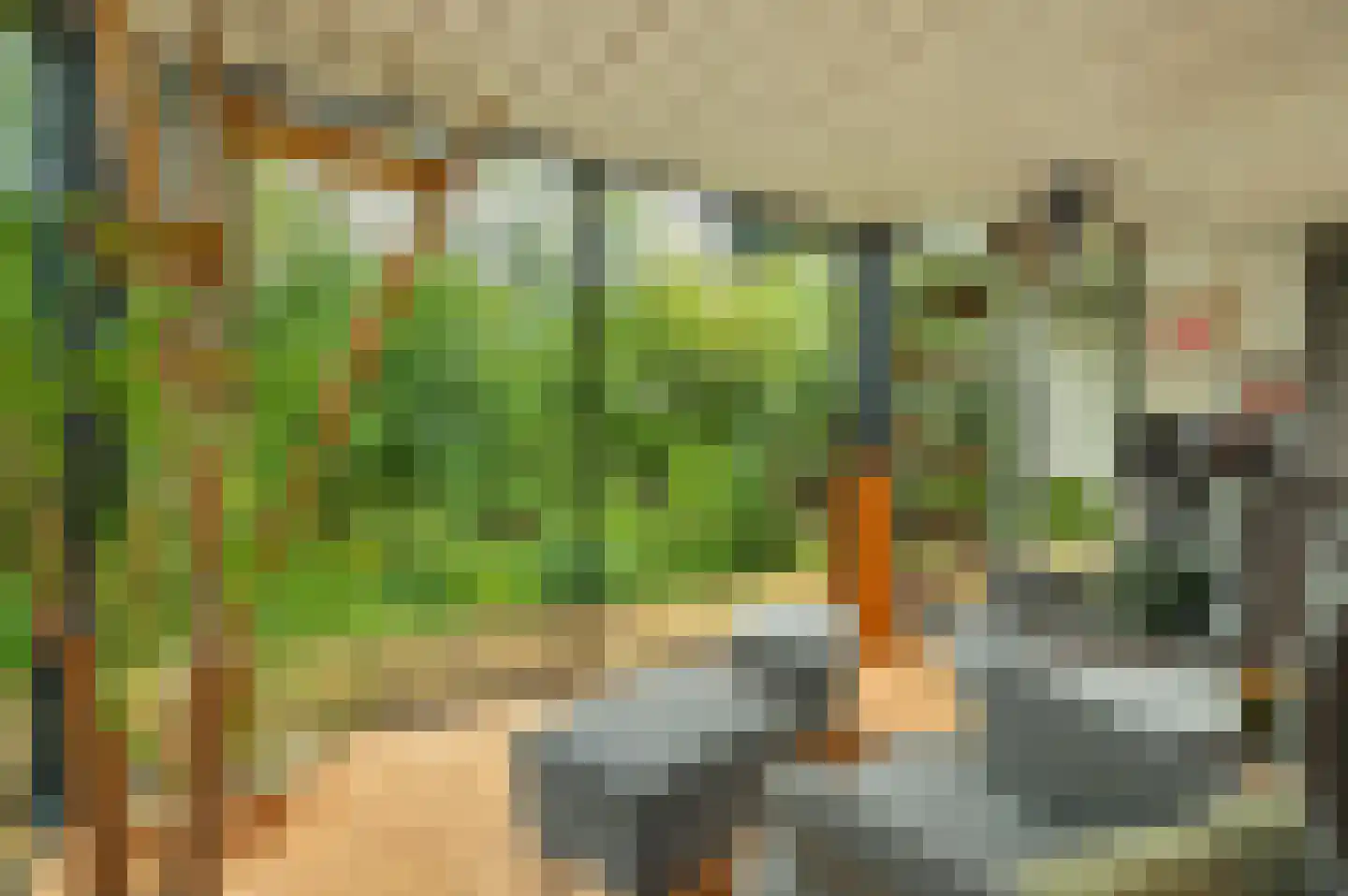Langeweg 1 Kamperland thumbnail 11