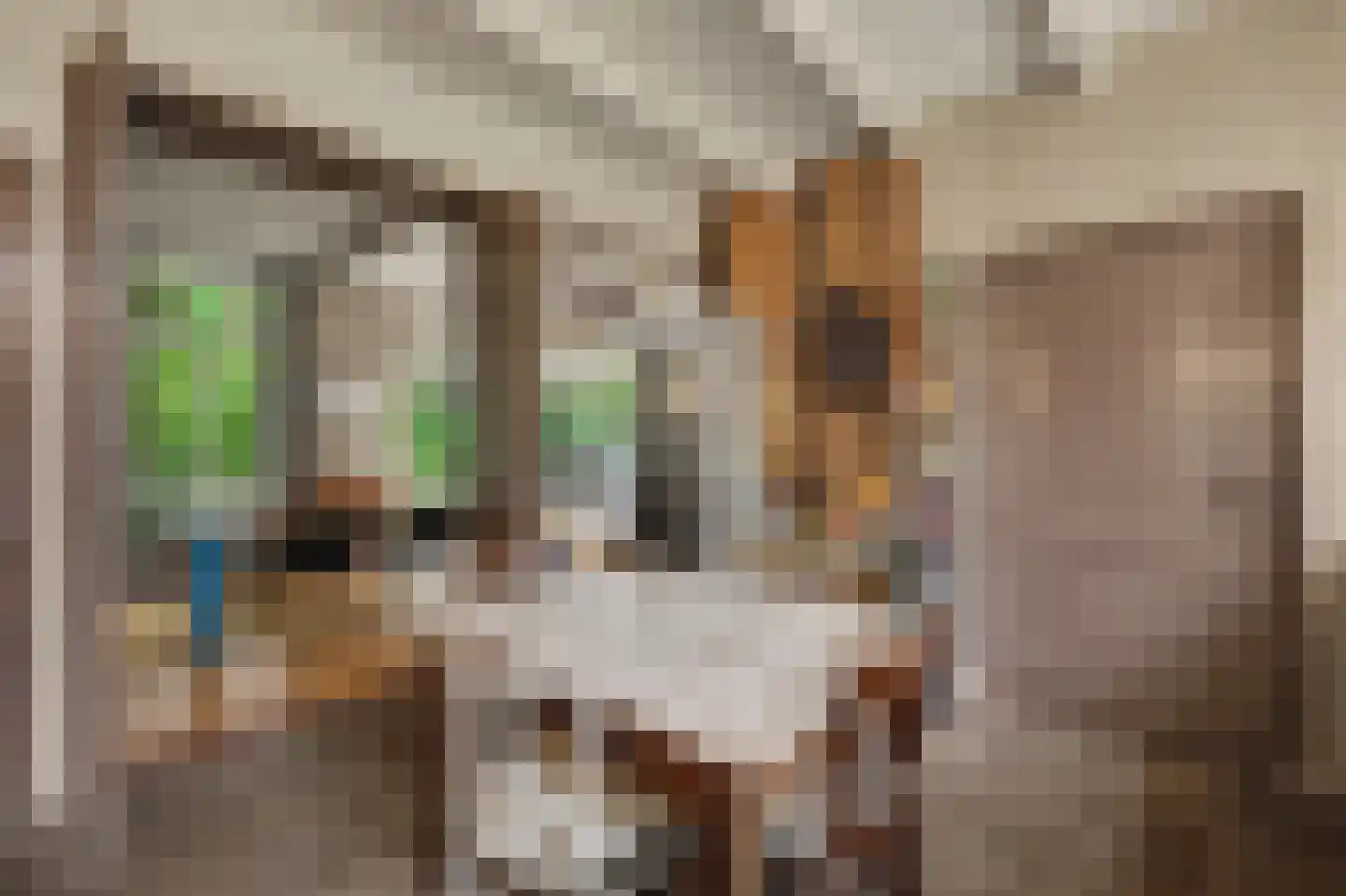 Langeweg 1 Kamperland thumbnail 14