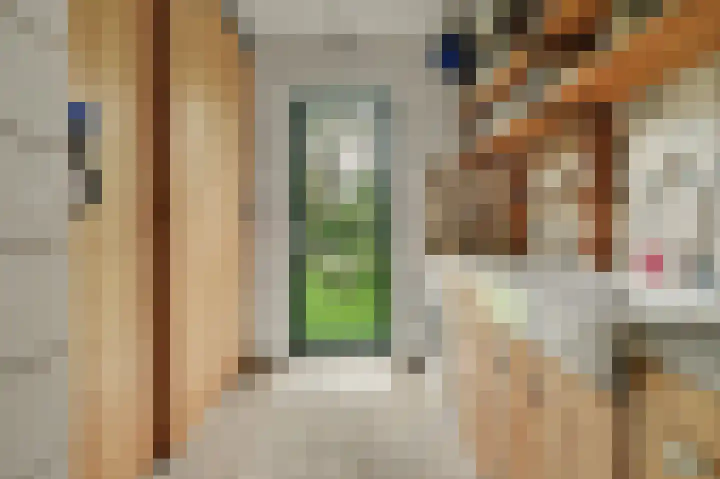 Langeweg 1 Kamperland thumbnail 15