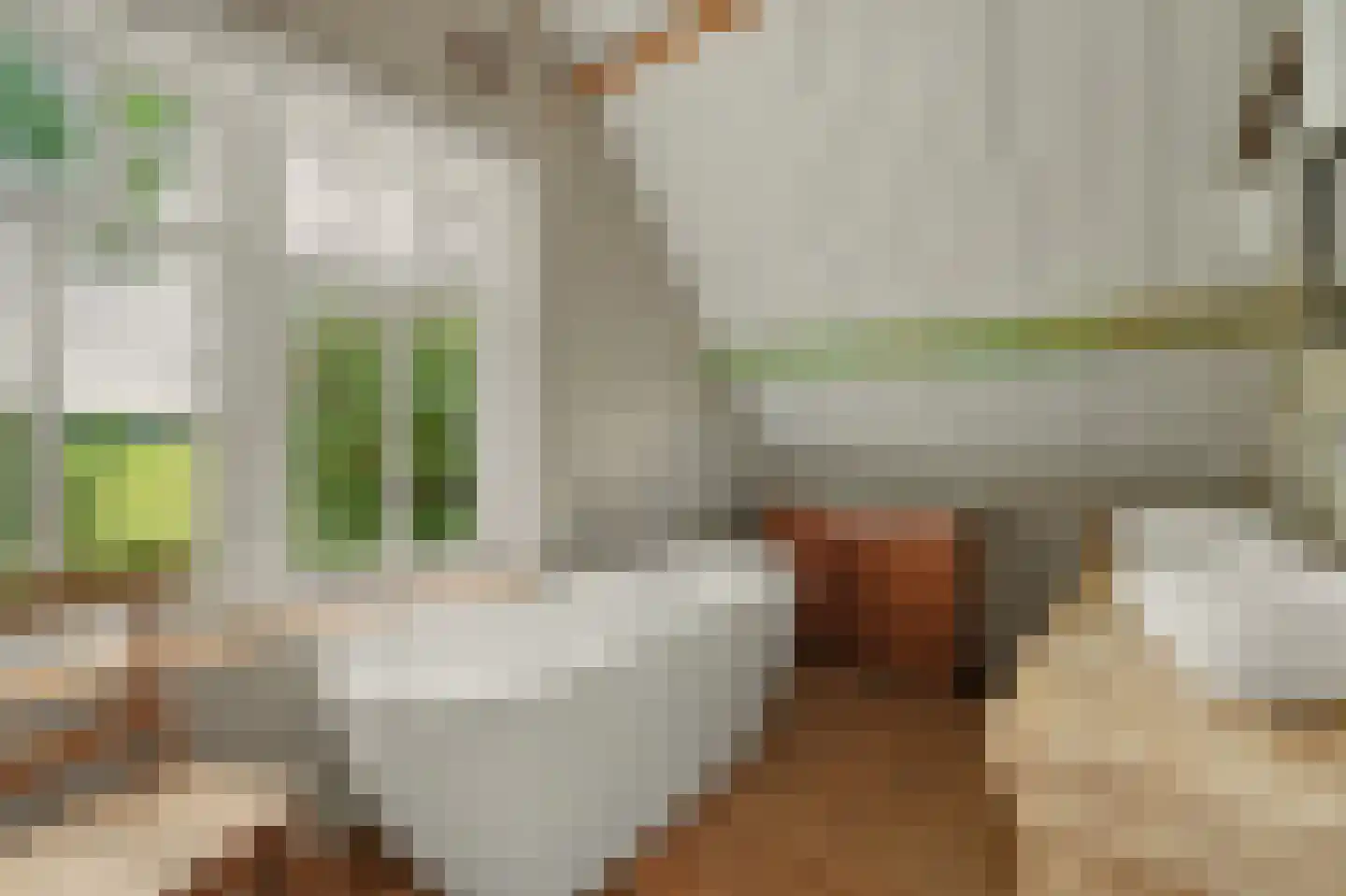 Langeweg 1 Kamperland thumbnail 19