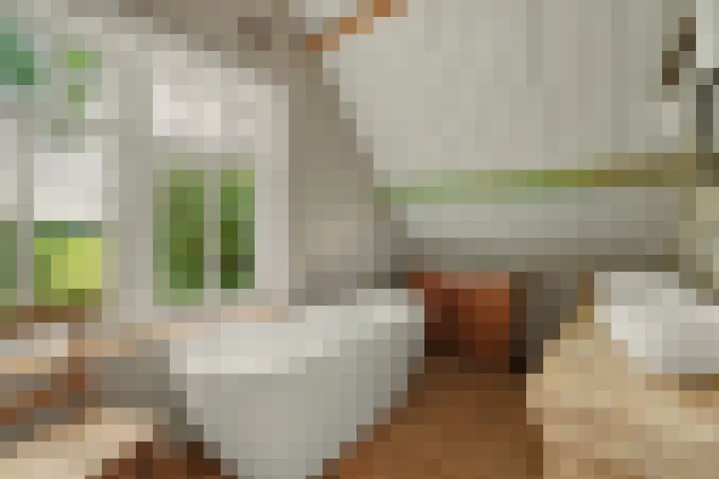 Langeweg 1 Kamperland thumbnail 19