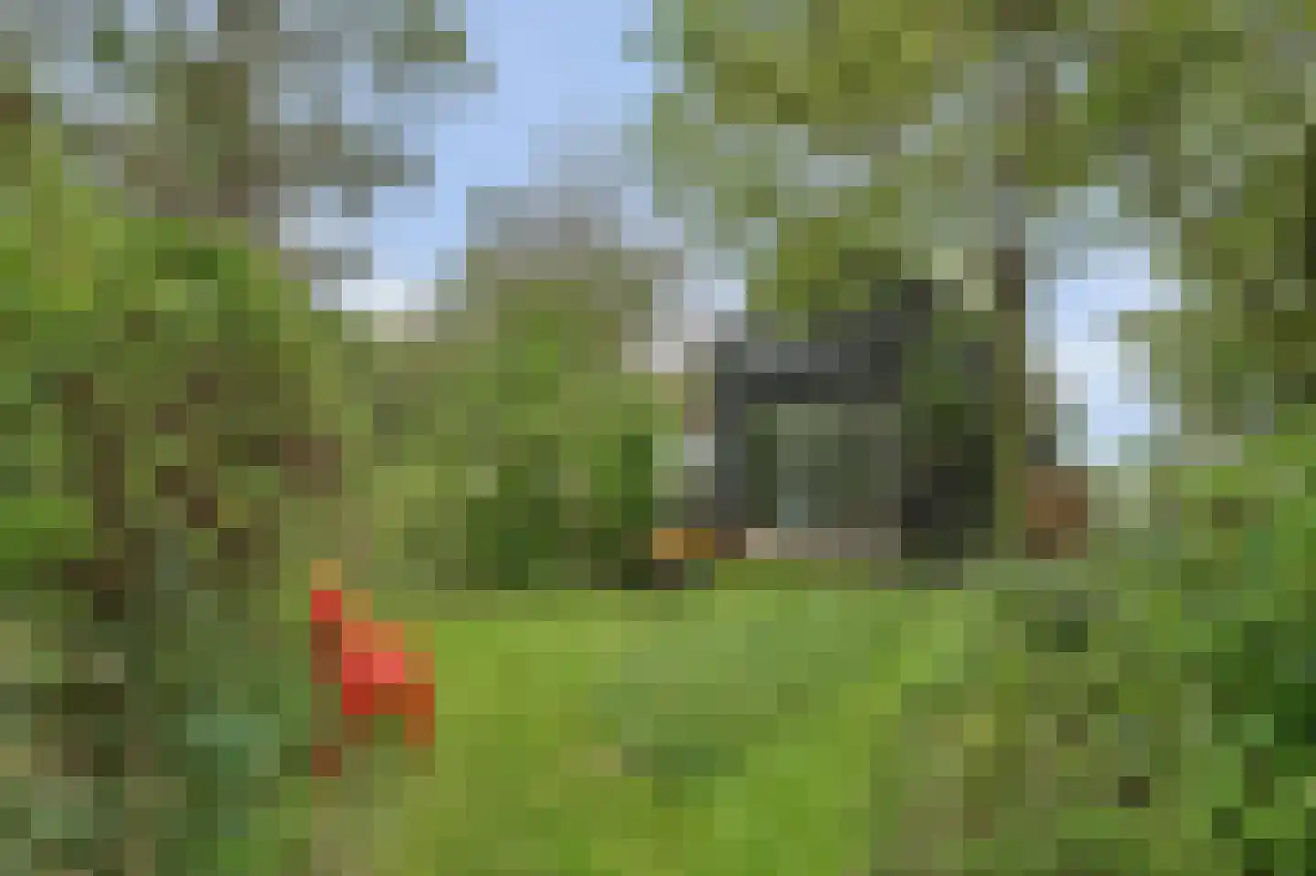 Langeweg 1 Kamperland thumbnail 21