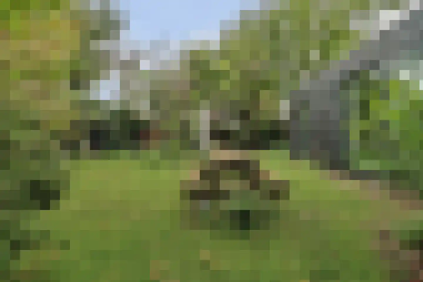 Langeweg 1 Kamperland thumbnail 29