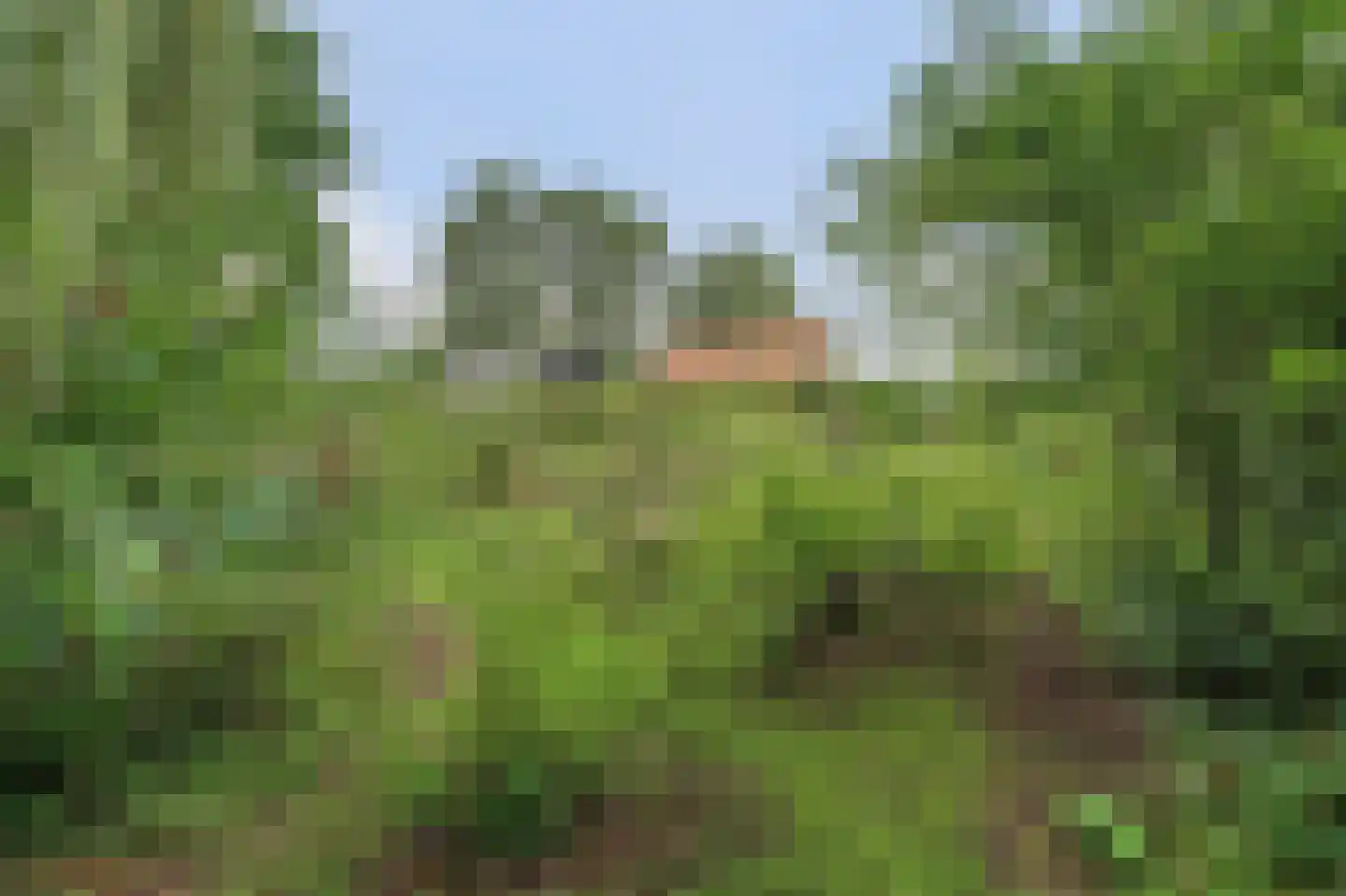 Langeweg 1 Kamperland thumbnail 30