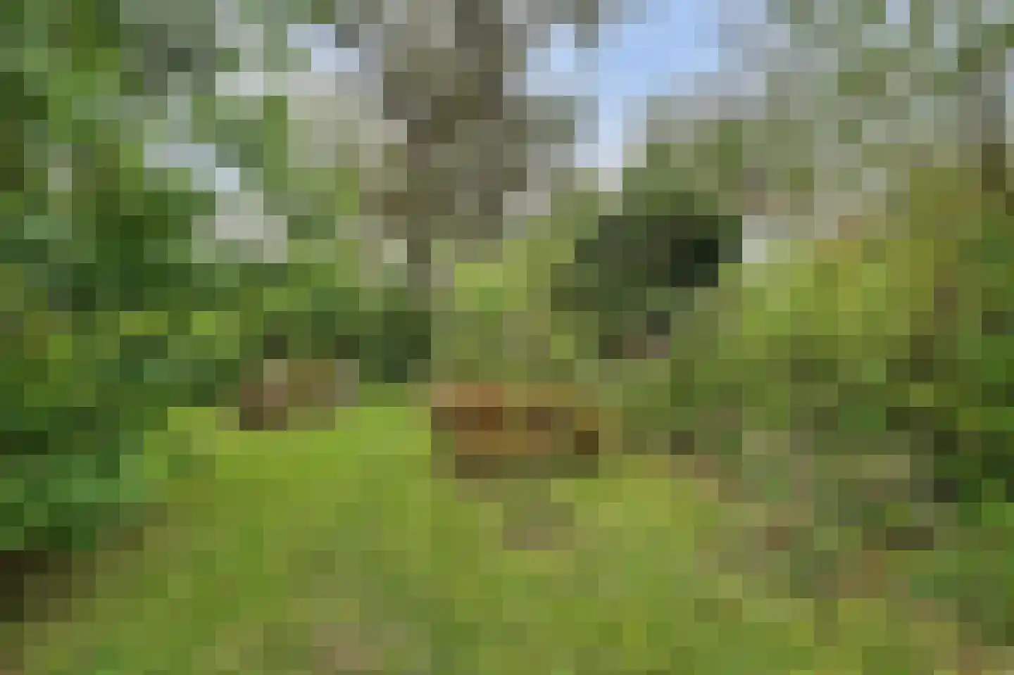 Langeweg 1 Kamperland thumbnail 31