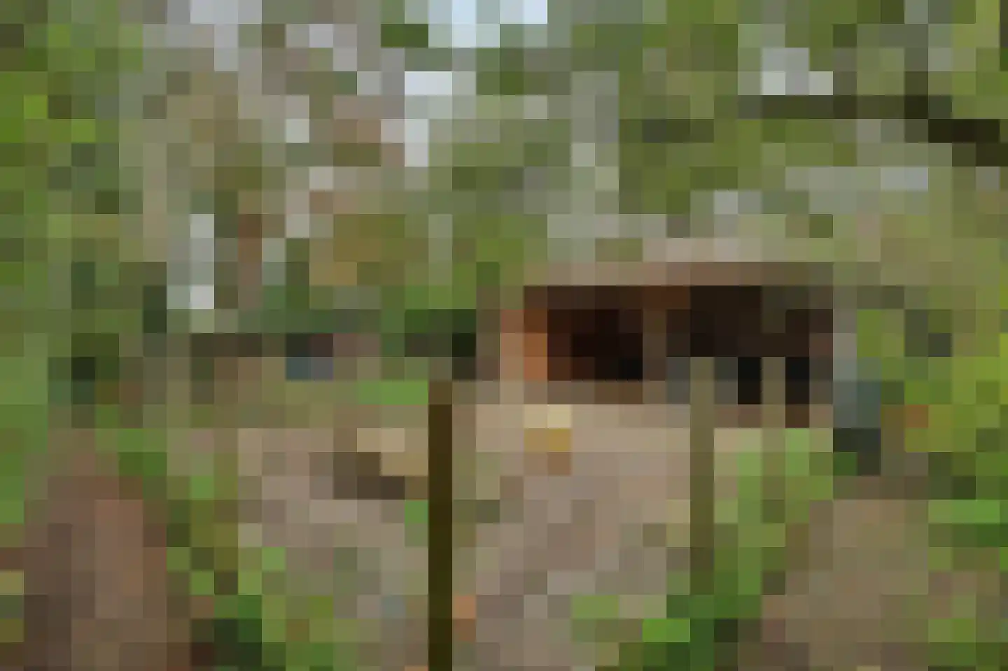 Langeweg 1 Kamperland thumbnail 32
