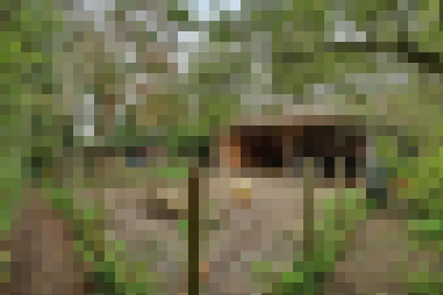 Langeweg 1 Kamperland thumbnail 32