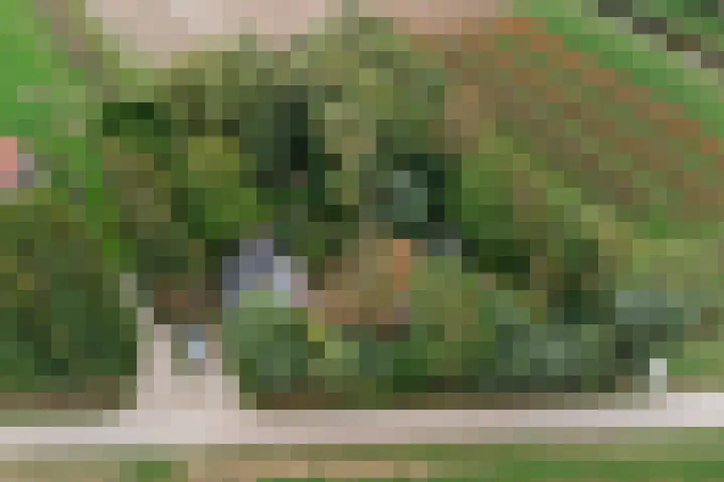 Langeweg 1 Kamperland thumbnail 33