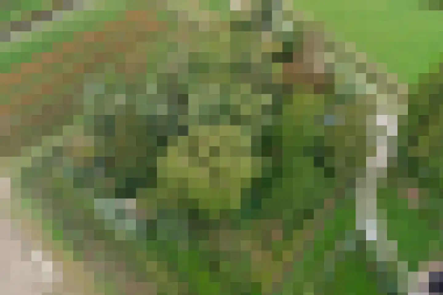 Langeweg 1 Kamperland thumbnail 35