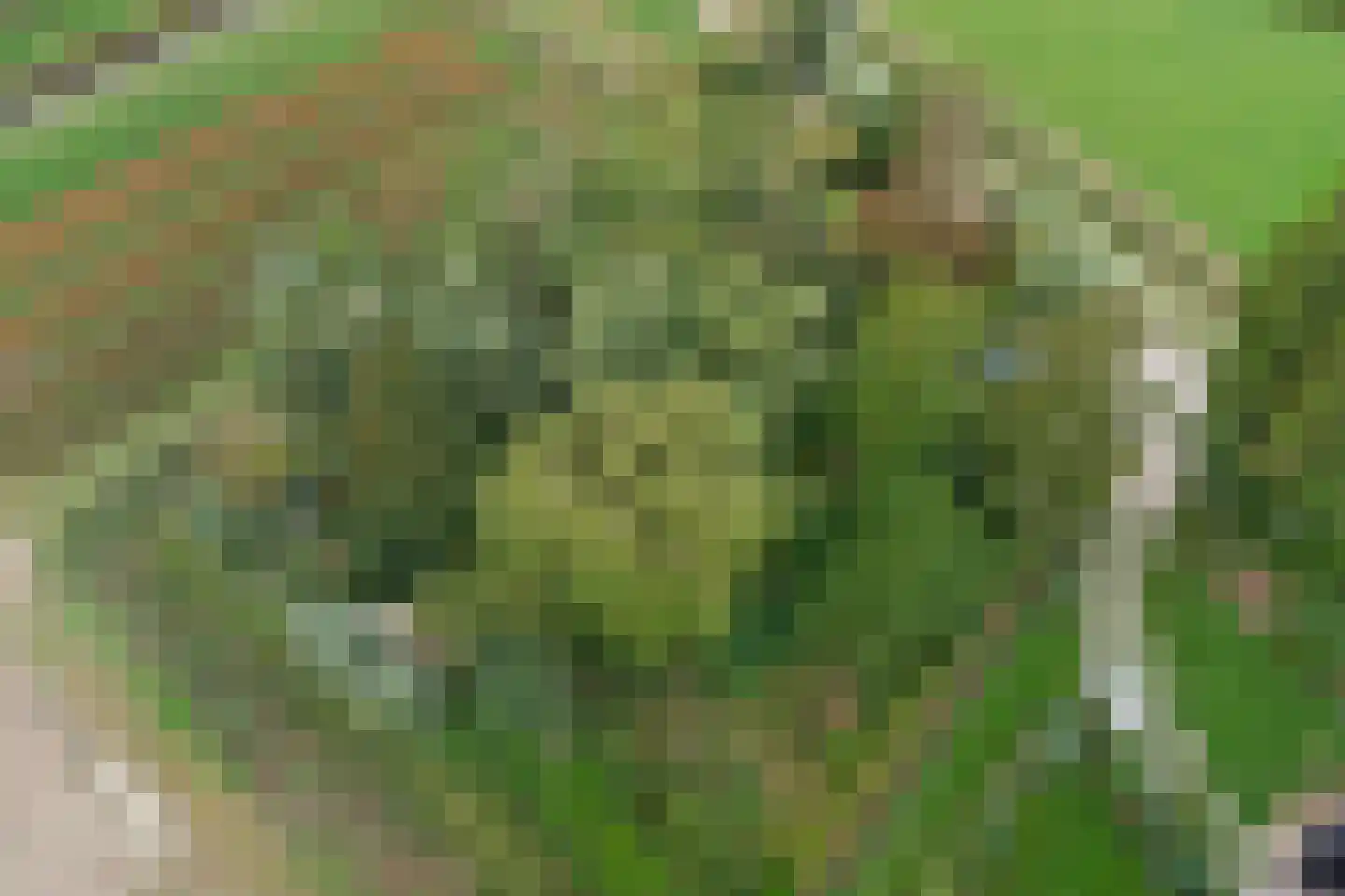 Langeweg 1 Kamperland thumbnail 35