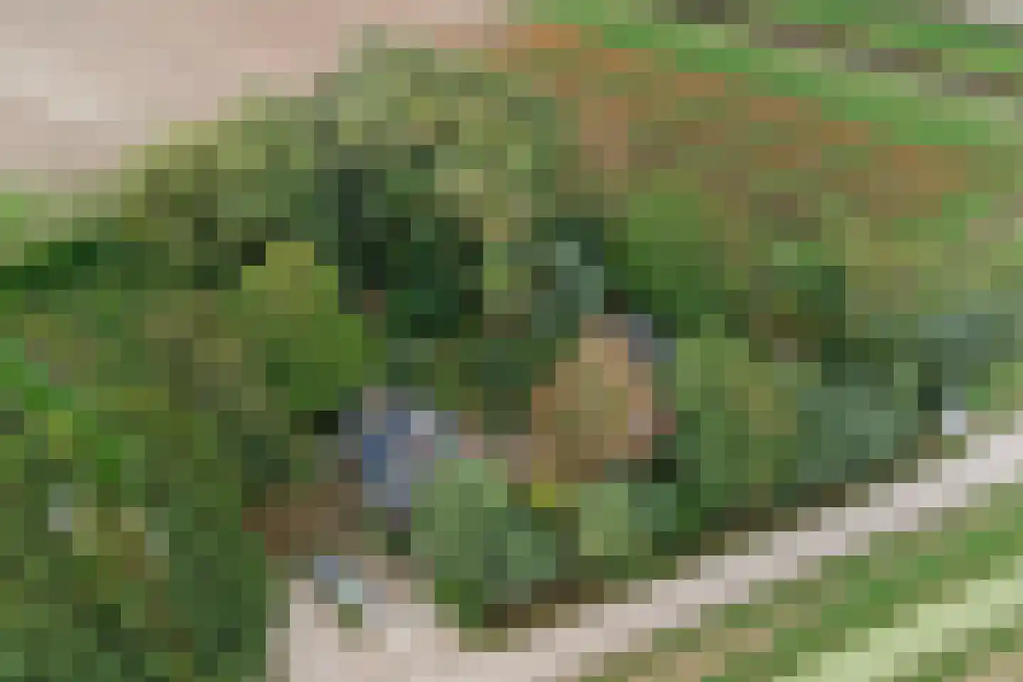 Langeweg 1 Kamperland thumbnail 36