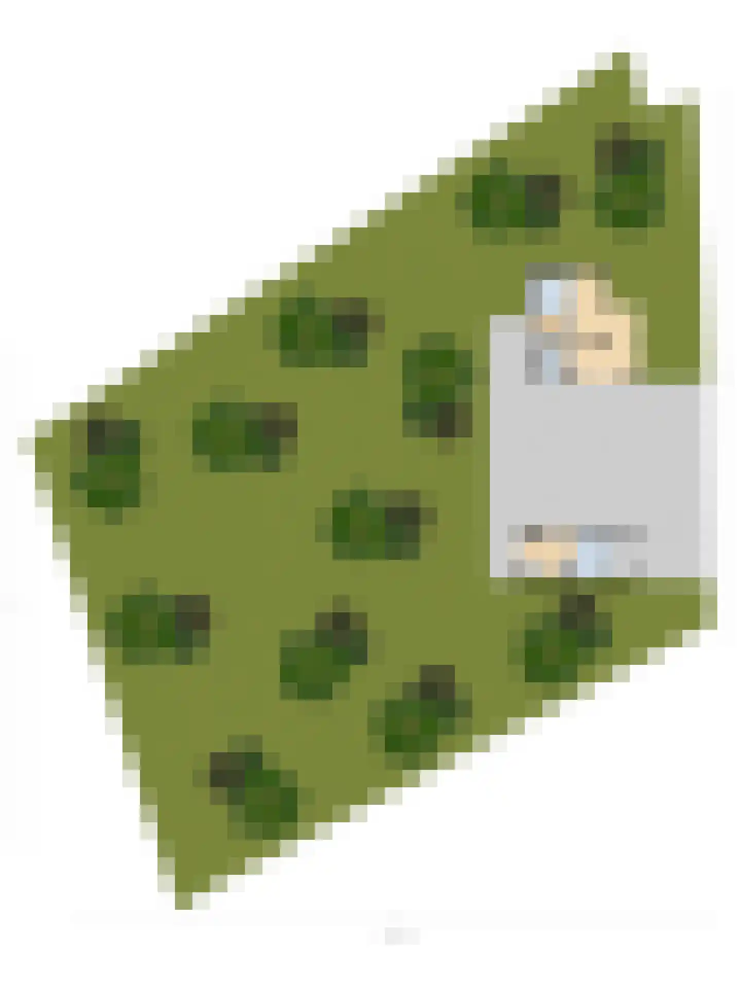 Langeweg 1 Kamperland thumbnail 41