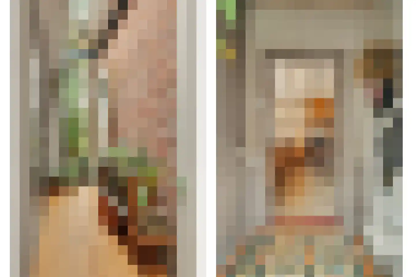Langeweg 1 Kamperland thumbnail 8