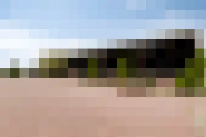 Langeweg 1 Oostwold thumbnail 12