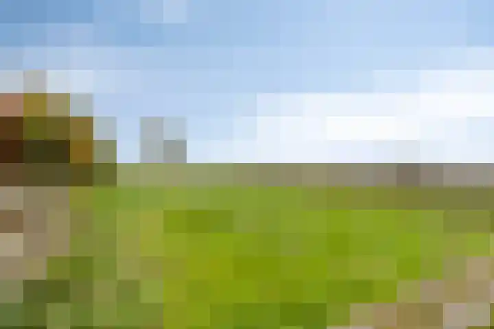Langeweg 1 Oostwold thumbnail 15