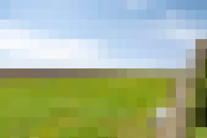 Langeweg 1 Oostwold thumbnail 16