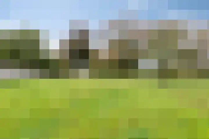 Langeweg 1 Oostwold thumbnail 17