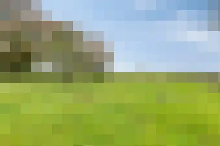 Langeweg 1 Oostwold thumbnail 19