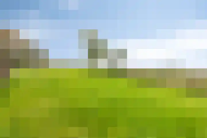 Langeweg 1 Oostwold thumbnail 20