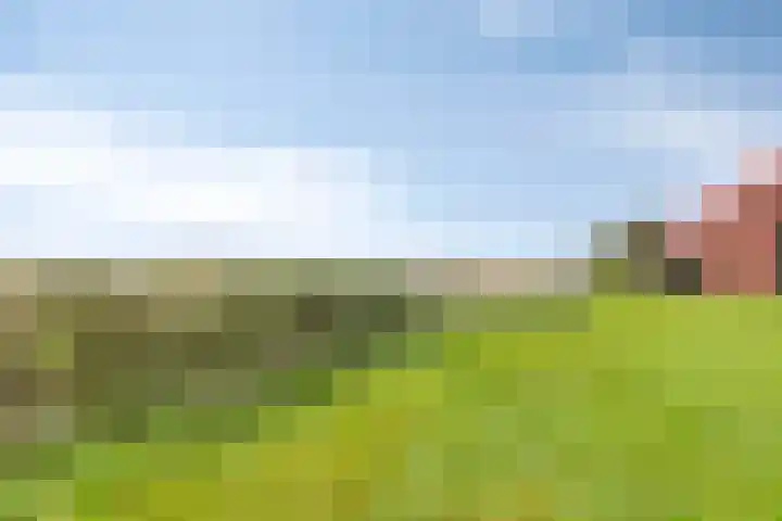 Langeweg 1 Oostwold thumbnail 21