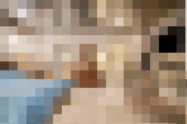 Langeweg 1 Oostwold thumbnail 37