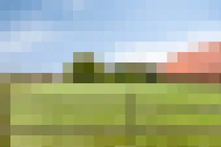 Langeweg 1 Oostwold thumbnail 6