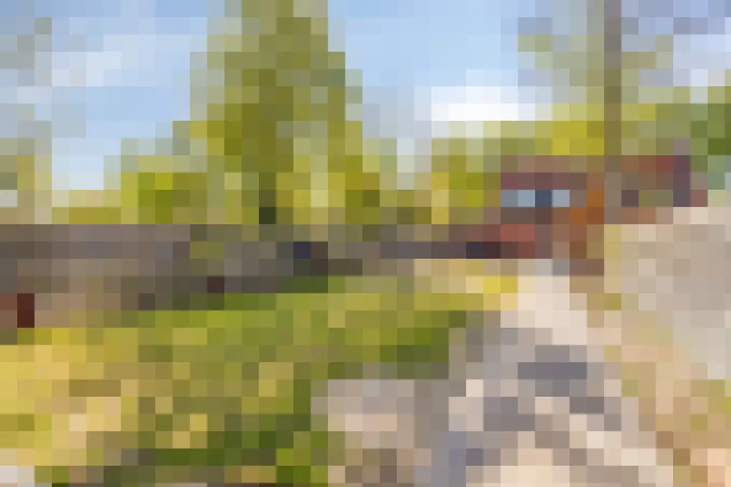 Langeweg 1 Scheemda thumbnail 31