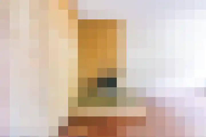 Langeweg 101 Vianen thumbnail 17