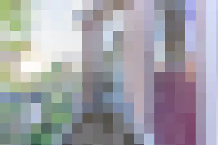 Langeweg 101 Vianen thumbnail 32