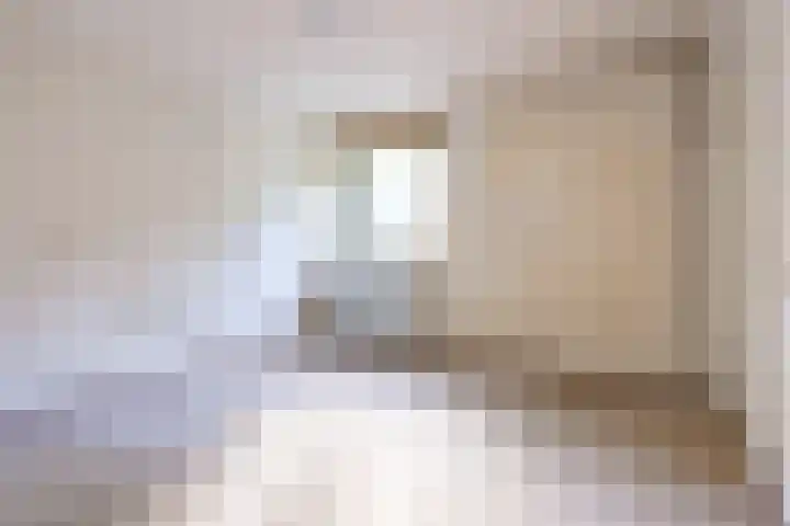 Langeweg 101 Vianen thumbnail 39
