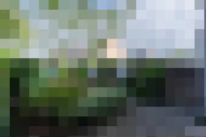 Langeweg 101 Vianen thumbnail 54