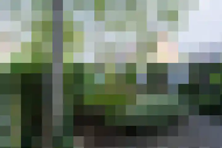 Langeweg 101 Vianen thumbnail 55