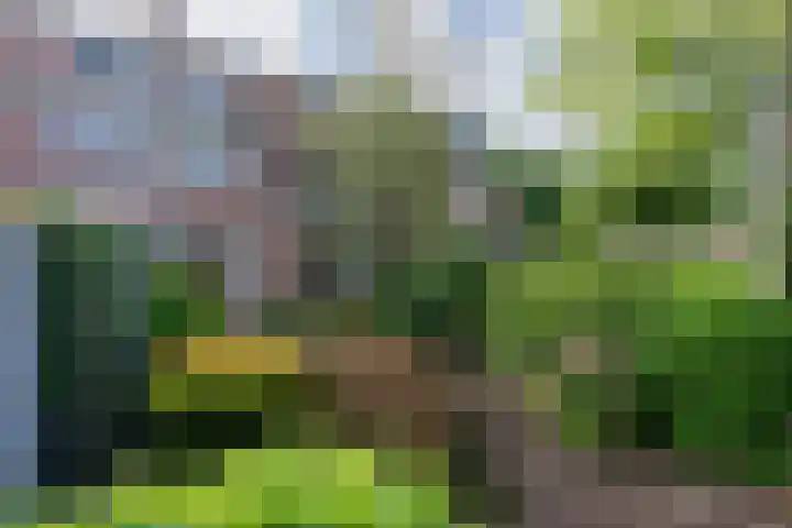 Langeweg 101 Vianen thumbnail 56