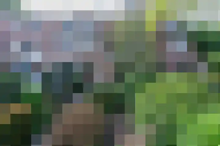 Langeweg 101 Vianen thumbnail 57