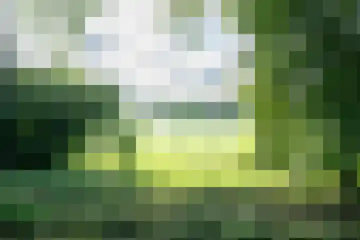 Langeweg 101 Vianen thumbnail 63