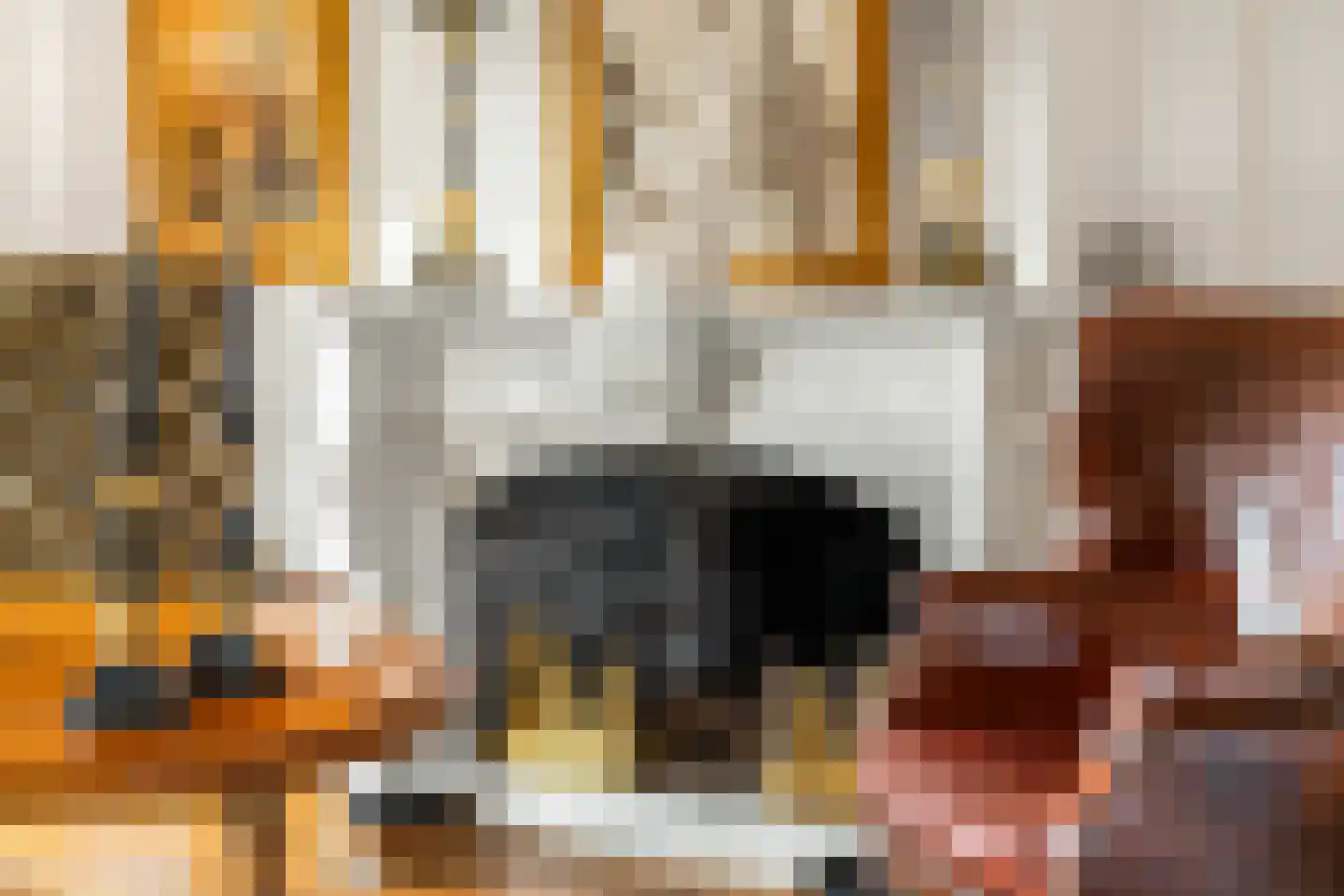 Langeweg 105 Sommelsdijk thumbnail 13