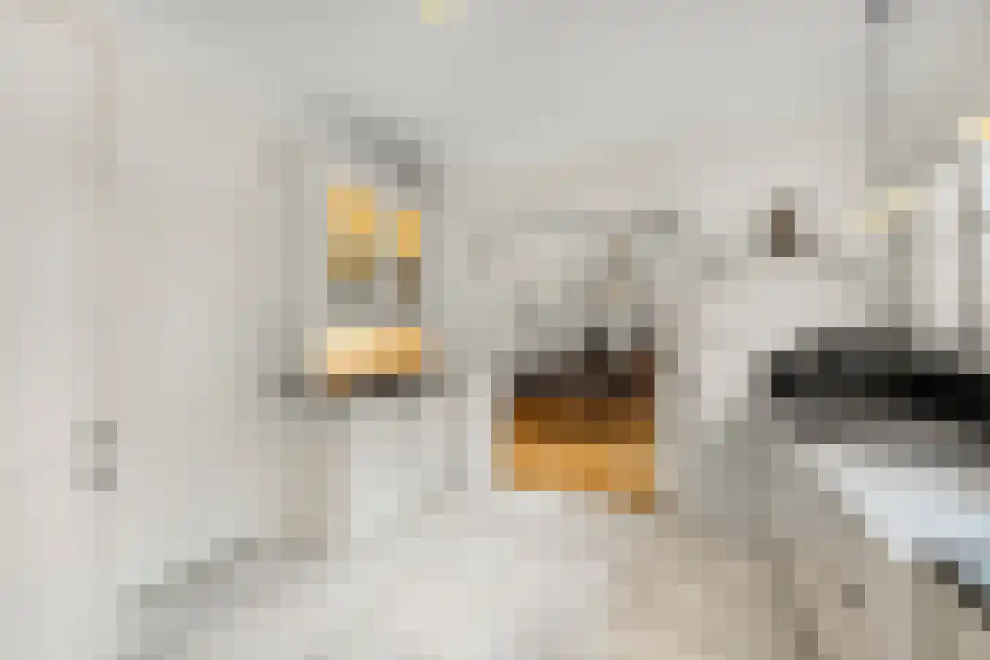 Langeweg 105 Sommelsdijk thumbnail 15